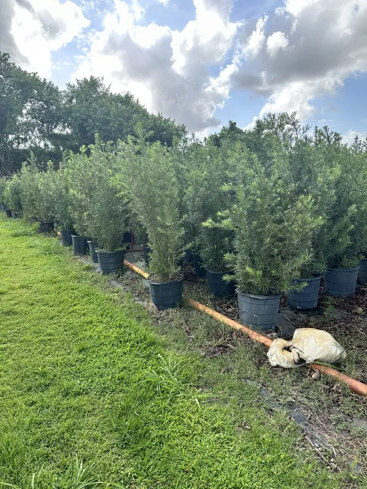 Expert outdoor landscaping in Lehigh Acres, FL by CNA Lawn Care & Landscaping