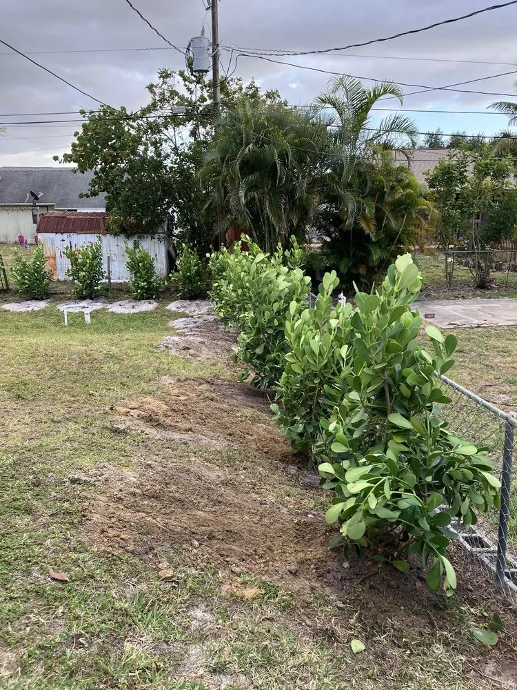 Top-rated landscape design for beautiful yards in Lehigh Acres, FL by CNA Lawn Care & Landscaping