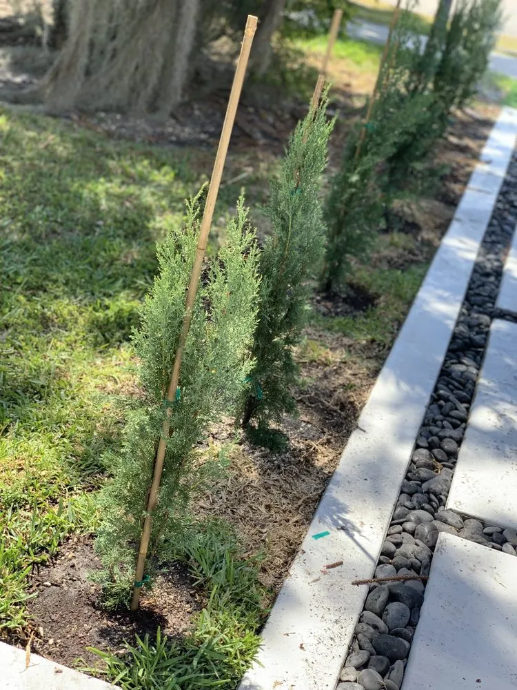 Affordable garden landscaping in Lehigh Acres, FL by CNA Lawn Care & Landscaping