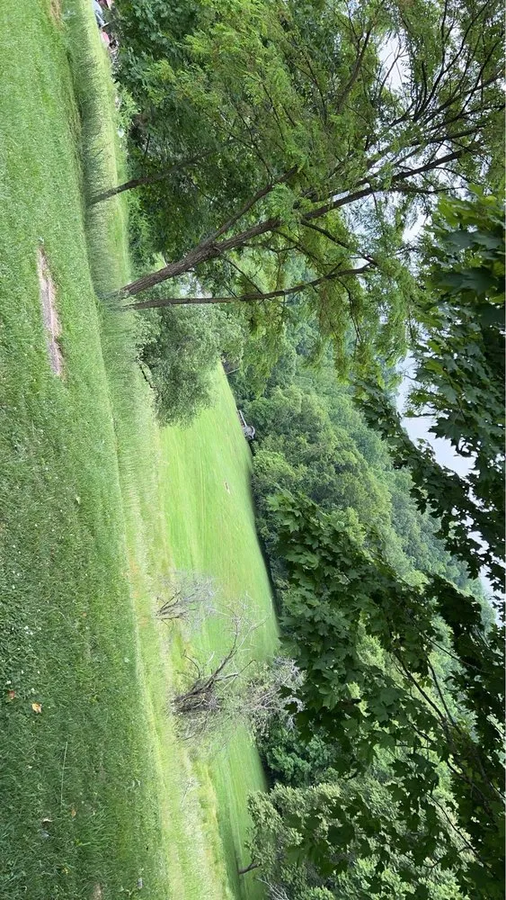 Custom landscaping services in Charleston, WV - Cna Lawncare