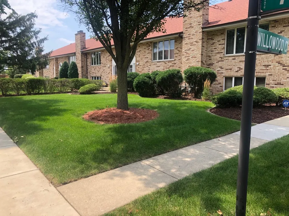 Professional yard cleanup service with custom design across Frankfort, IL - CNC Lawn Care