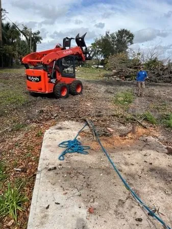 Custom yard maintenance for year-round maintenance across Tampa Bay, FL - CNC Pro