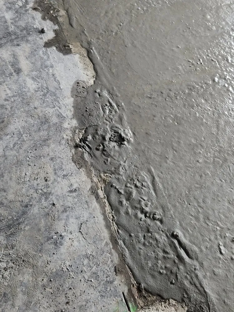 Professional landscape design in Tampa Bay, FL - CNC Pro