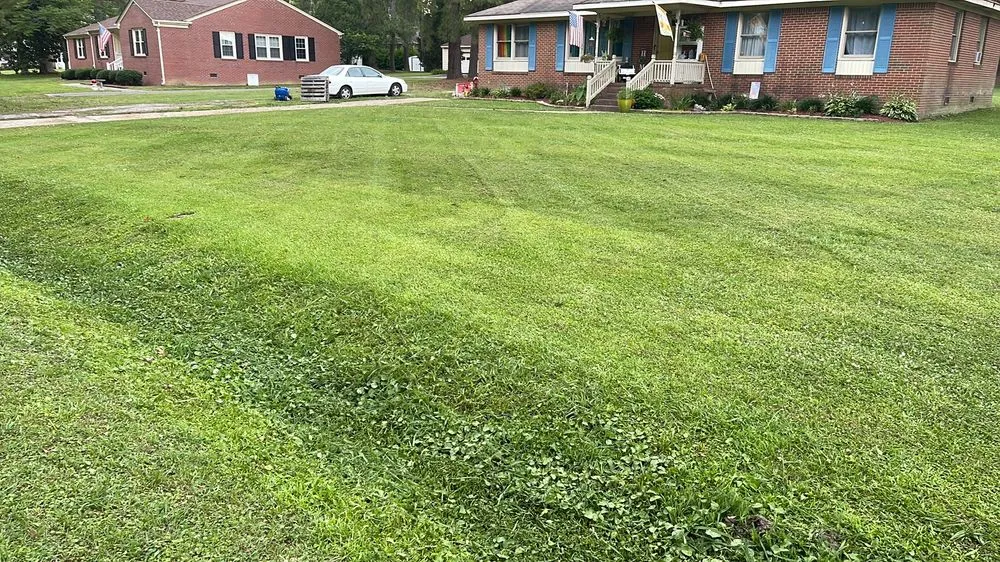 Top-rated garden landscaping in Windsor, VA - CNC Property Services