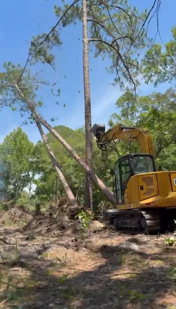 Expert lawn care service experts serving Dunnellon, FL - CNC Tractor