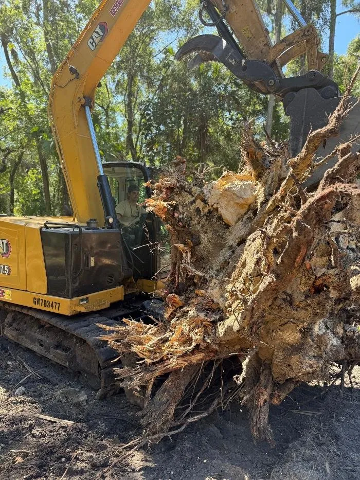 Top-rated landscape design in Dunnellon, FL - CNC Tractor