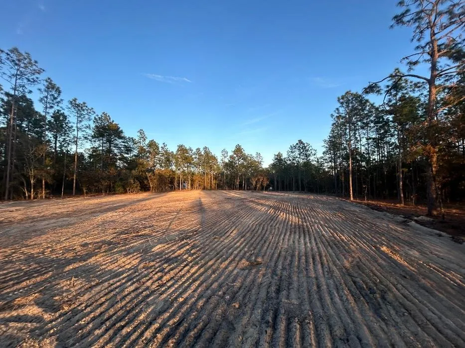 Expert landscaping services for year-round maintenance across Dunnellon, FL - CNC Tractor