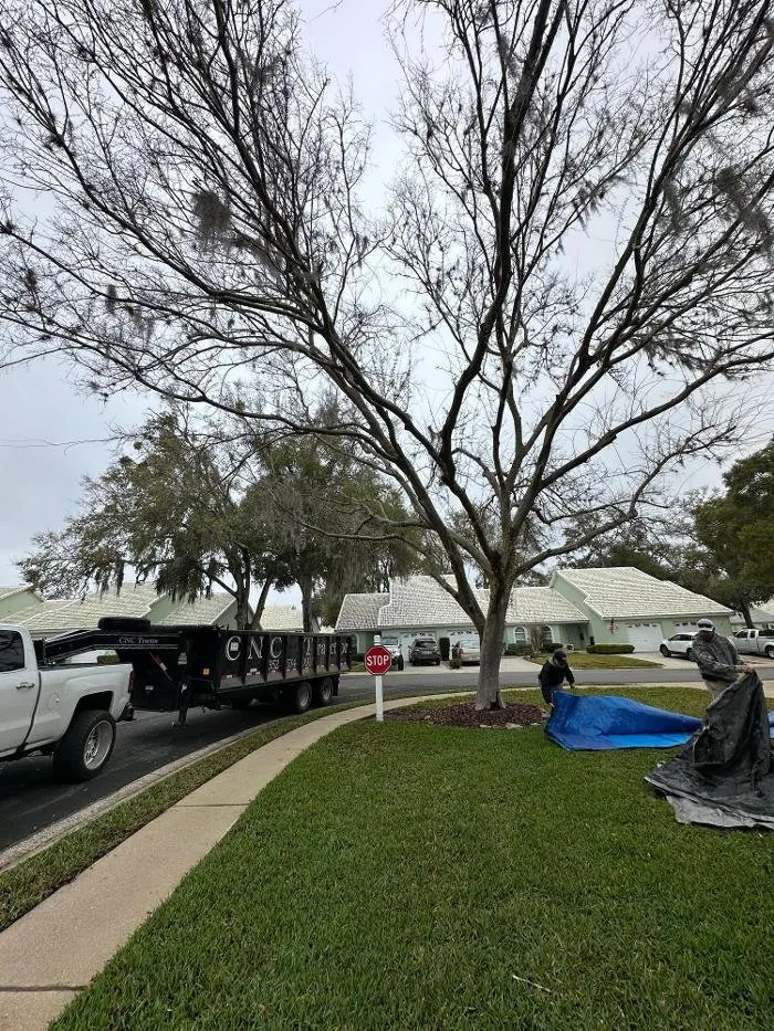 Professional outdoor landscaping experts serving Dunnellon, FL - CNC Tractor