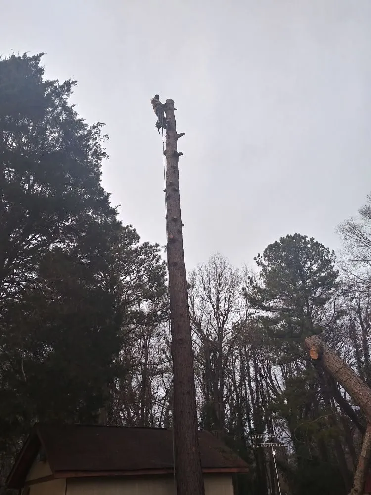 Affordable residential landscaping in Hampton, VA - CNC Tree Service