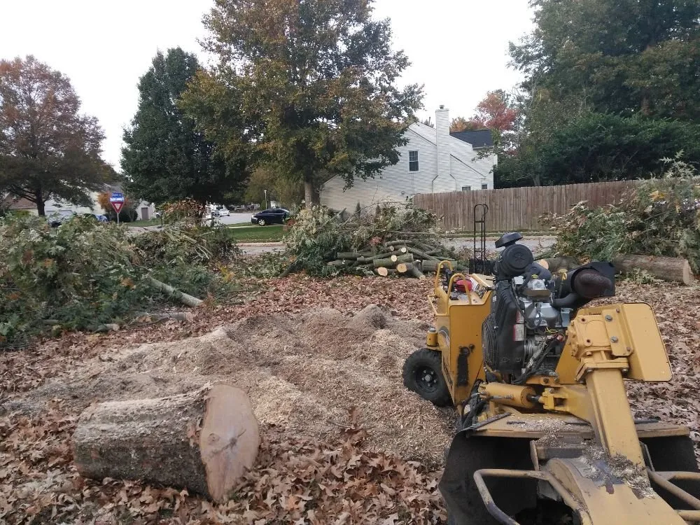 Custom garden landscaping for outdoor upgrades in Hampton, VA by CNC Tree Service