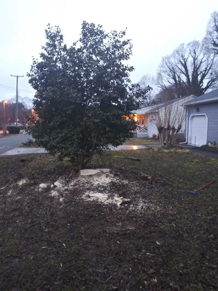 Local outdoor landscaping in Hampton, VA by CNC Tree Service