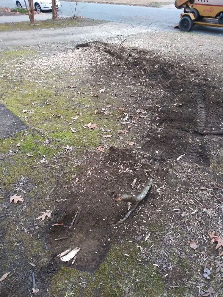 Trusted garden landscaping in Hampton, VA - CNC Tree Service