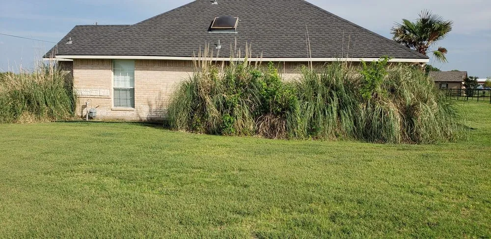 Affordable lawn care service for year-round maintenance across Dallas, TX - CNCM Lawn Services