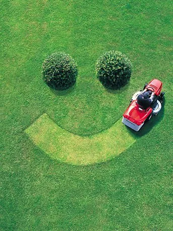 Reliable lawn care service in Dallas, TX by CNCM Lawn Services