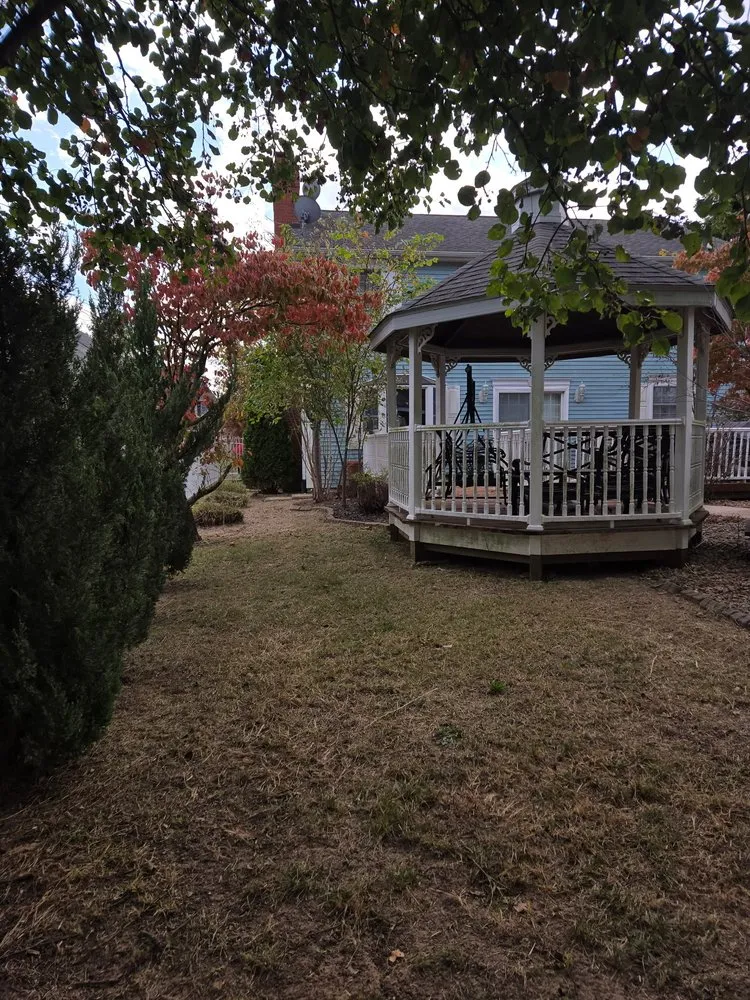 Expert yard maintenance experts serving Swansea, IL - CND Landscape