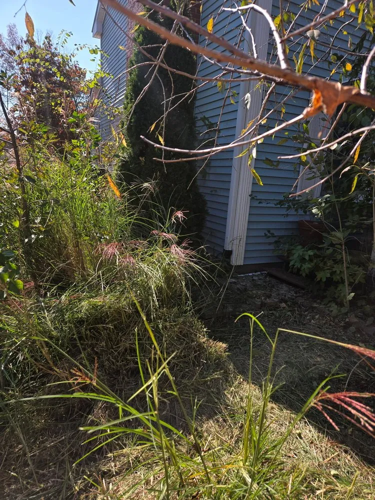 Trusted yard maintenance experts serving Swansea, IL - CND Landscape