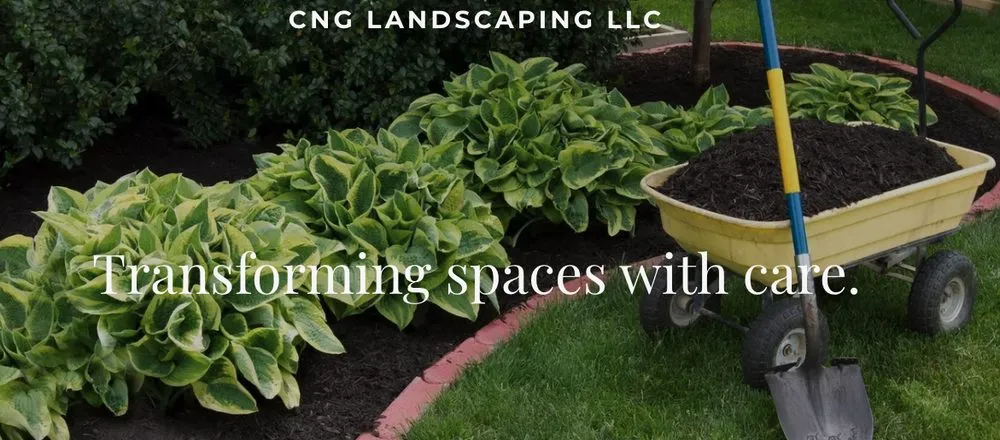 Affordable yard cleanup service experts serving Birmingham, AL - CNG Landscaping