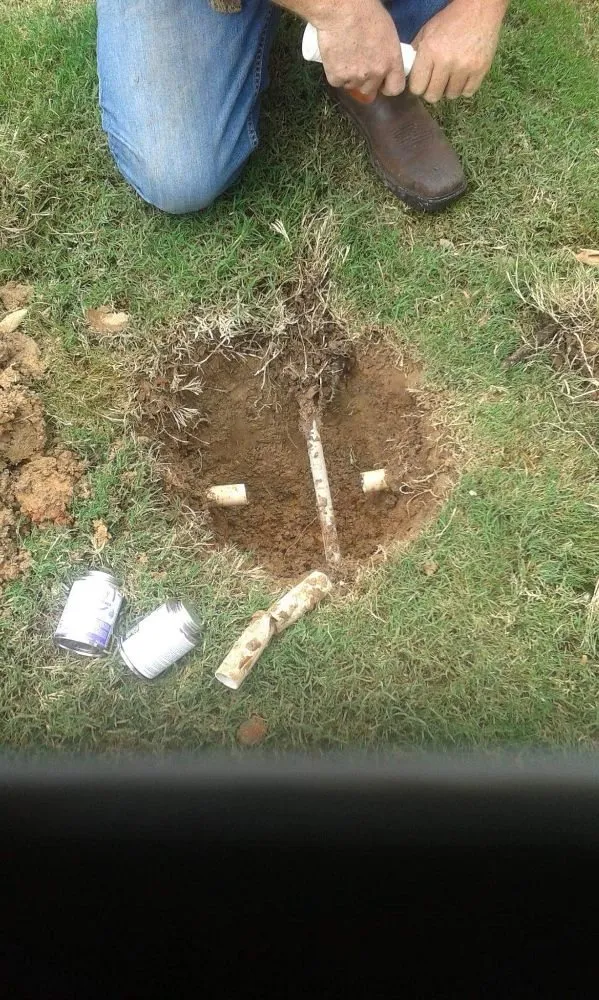 Professional lawn care service in Springdale, AR by CNM Irrigation