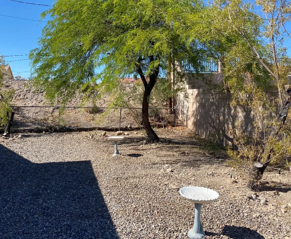 Expert lawn care service in Bullhead City, AZ - C.N.S Landscaping