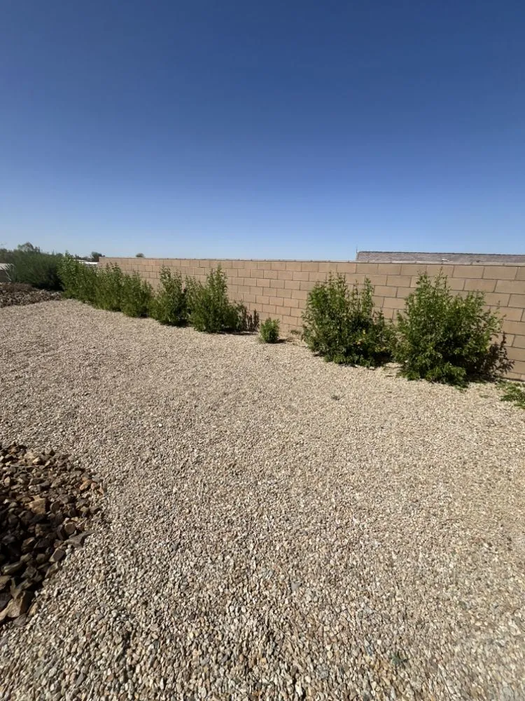 Top-rated landscape installation in Bullhead City, AZ by C.N.S Landscaping