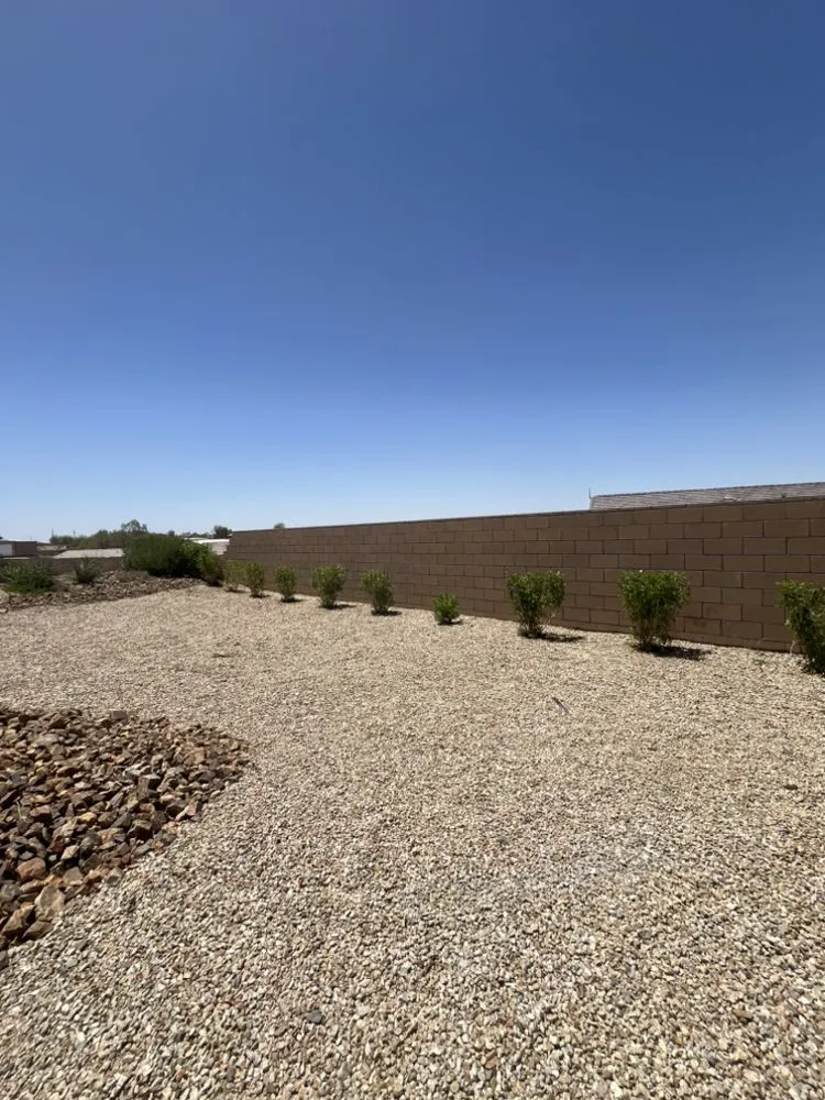 Trusted yard maintenance near you in Bullhead City, AZ by C.N.S Landscaping