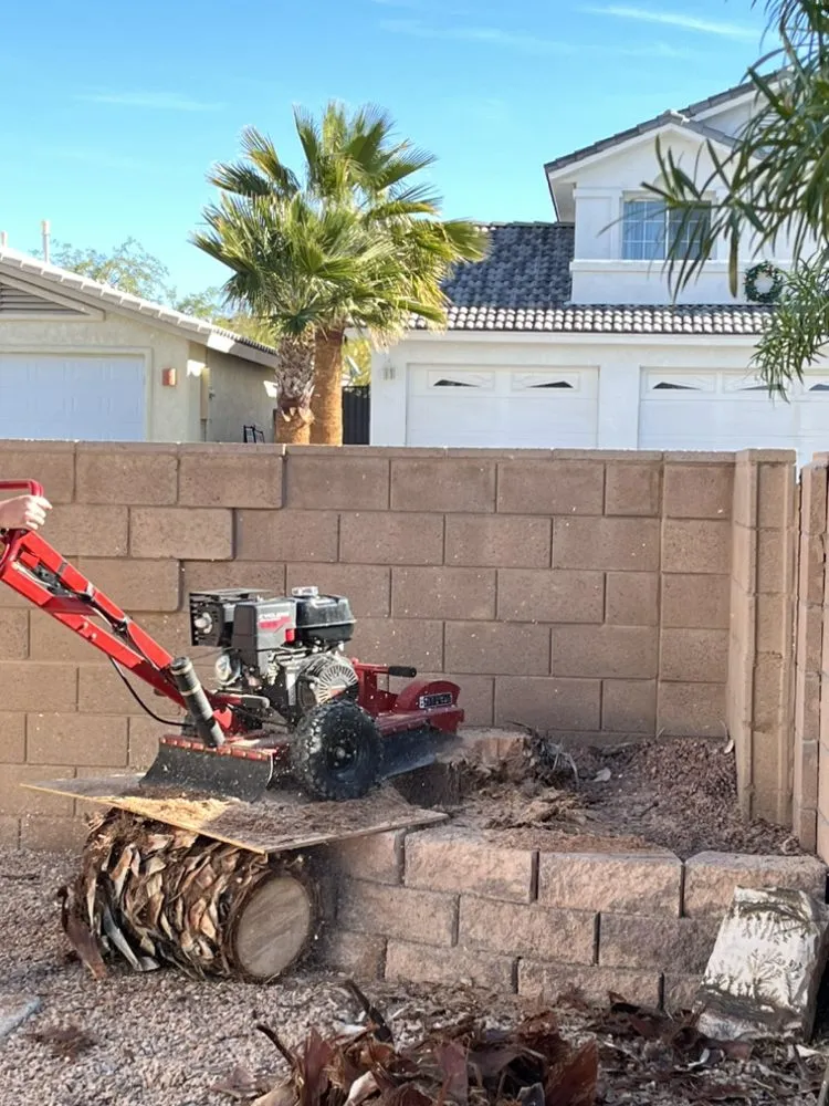 Reliable outdoor landscaping with custom design in Bullhead City, AZ by C.N.S Landscaping