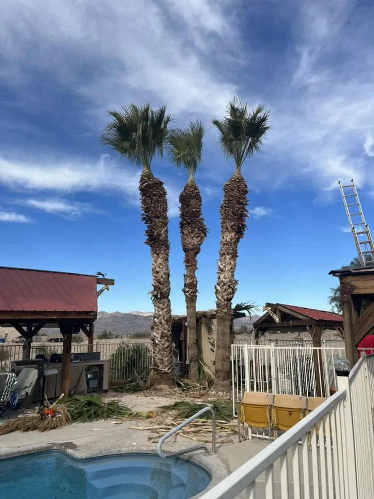 Reliable residential landscaping experts serving Bullhead City, AZ - C.N.S Landscaping