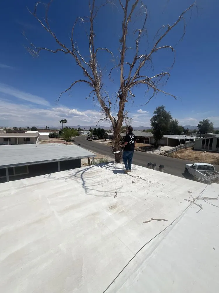 Trusted residential landscaping in Bullhead City, AZ - C.N.S Landscaping