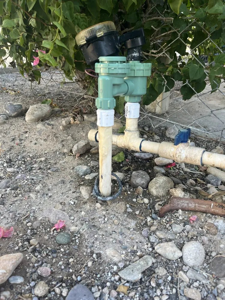 Top-rated landscape installation for year-round maintenance across Bullhead City, AZ - C.N.S Landscaping