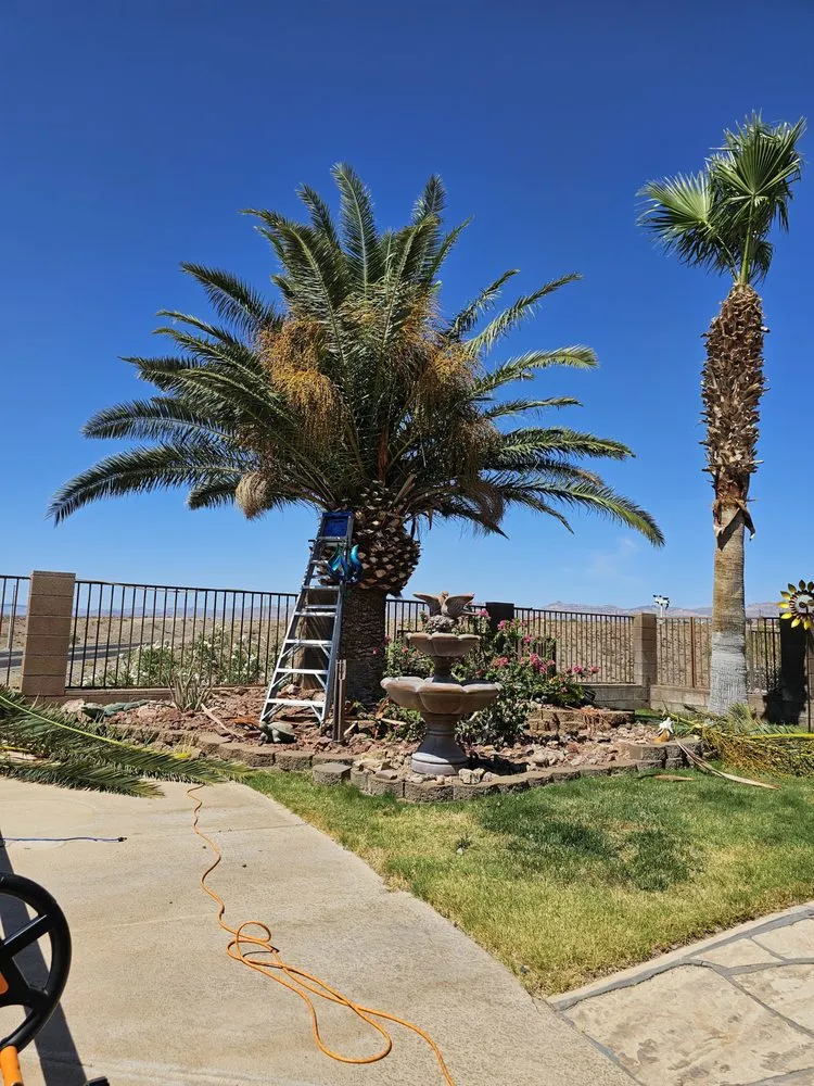Local outdoor landscaping in Bullhead City, AZ - C.N.S Landscaping