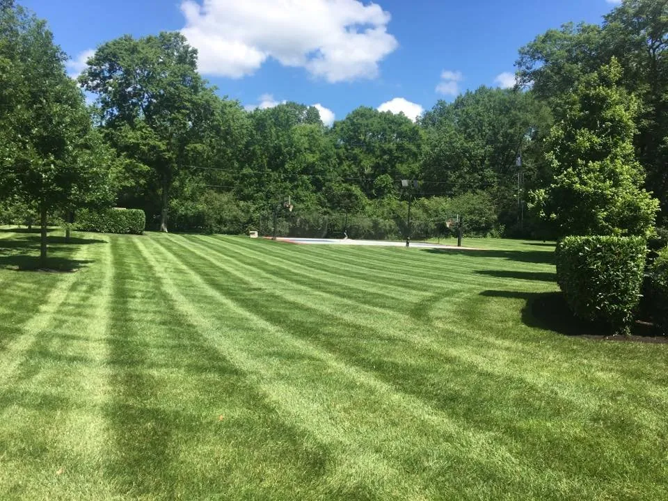 Local landscaping services in Fairview, TN by CNS Lawn and Landscaping