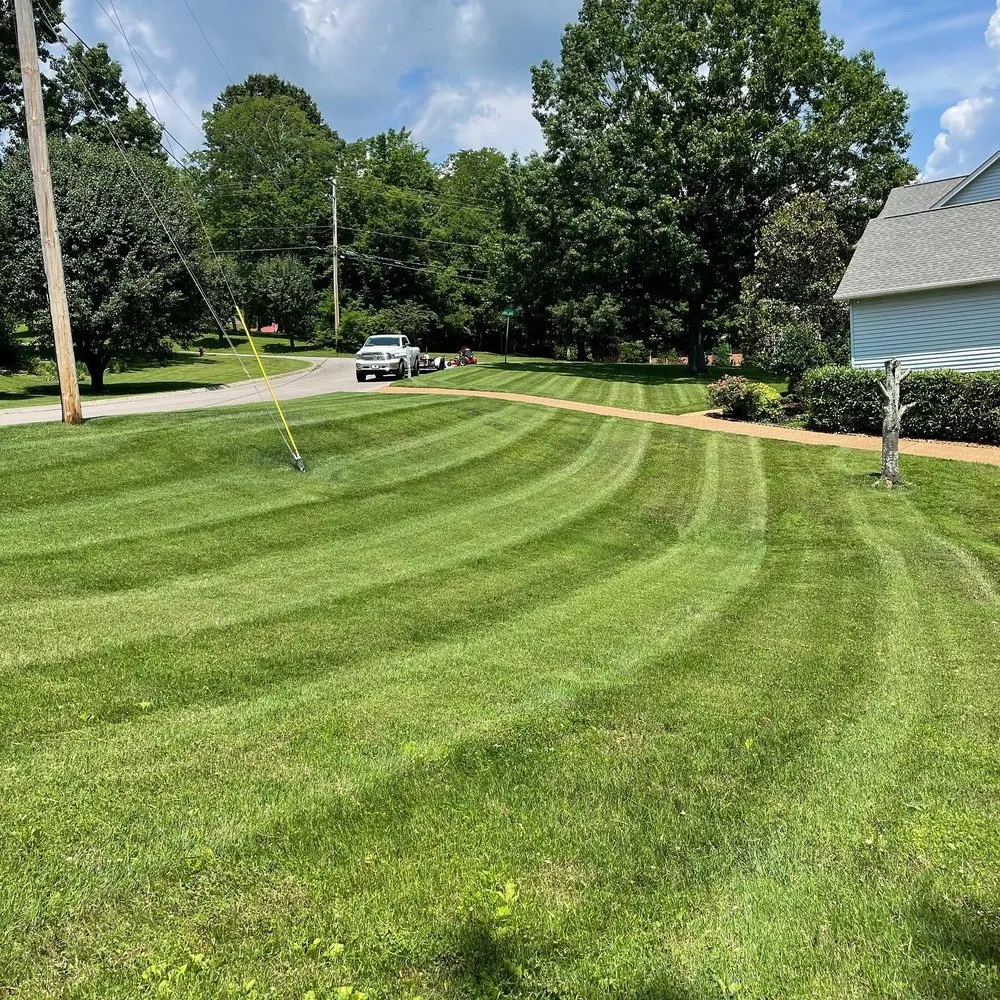 Custom yard cleanup service for beautiful yards across Fairview, TN - CNS Lawn and Landscaping