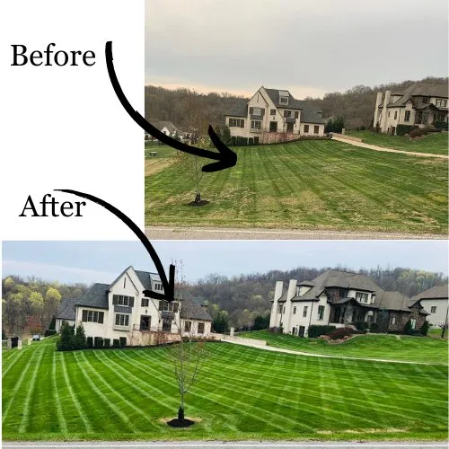 Expert yard cleanup service for residential properties in Fairview, TN by CNS Lawn and Landscaping