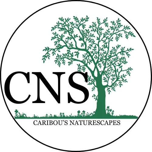 Affordable lawn mowing service in Fairview, TN - CNS Lawn and Landscaping