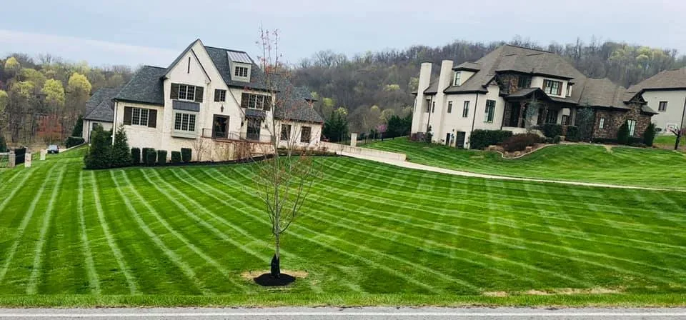 Custom landscaping services in Fairview, TN - CNS Lawn and Landscaping