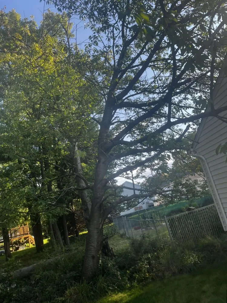 Custom garden landscaping in Lyndhurst, OH - CNS Outdoor Services