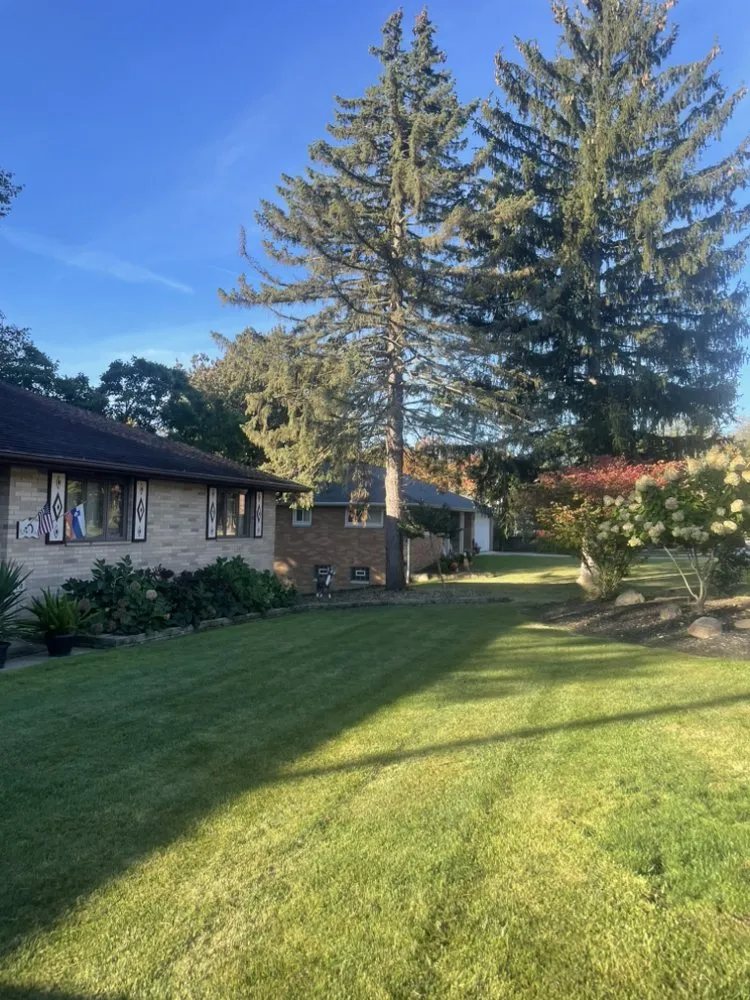 Top-rated lawn mowing service in Lyndhurst, OH by CNS Outdoor Services