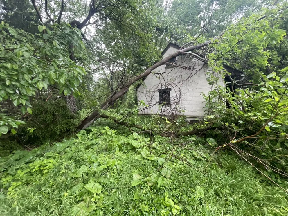 Expert yard maintenance experts serving Lyndhurst, OH - CNS Outdoor Services