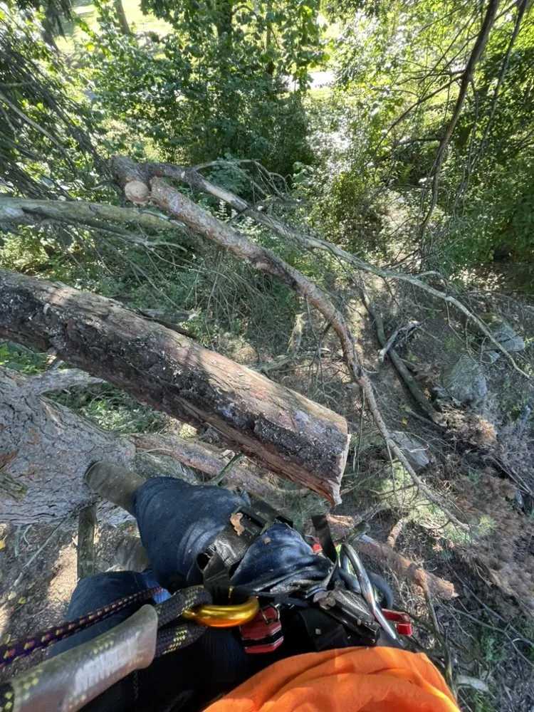 Top-rated landscape installation for residential properties in Lyndhurst, OH by CNS Outdoor Services