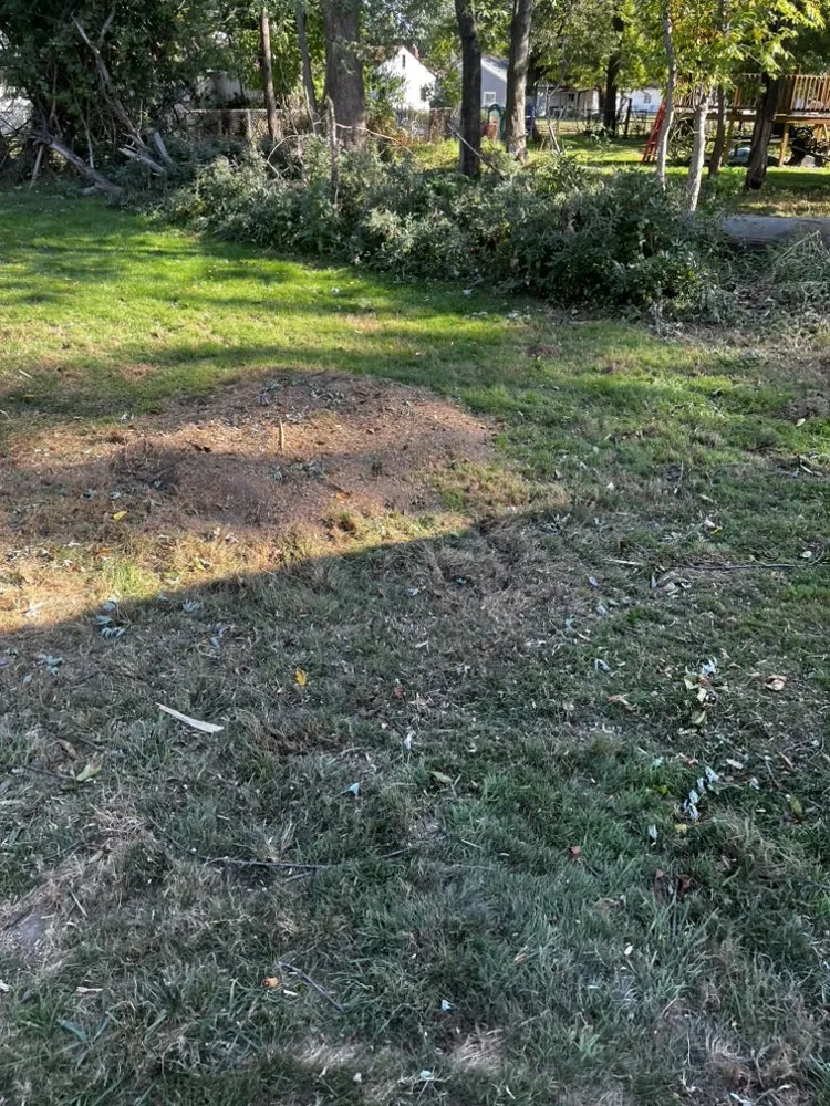 Expert garden landscaping in Lyndhurst, OH by CNS Outdoor Services