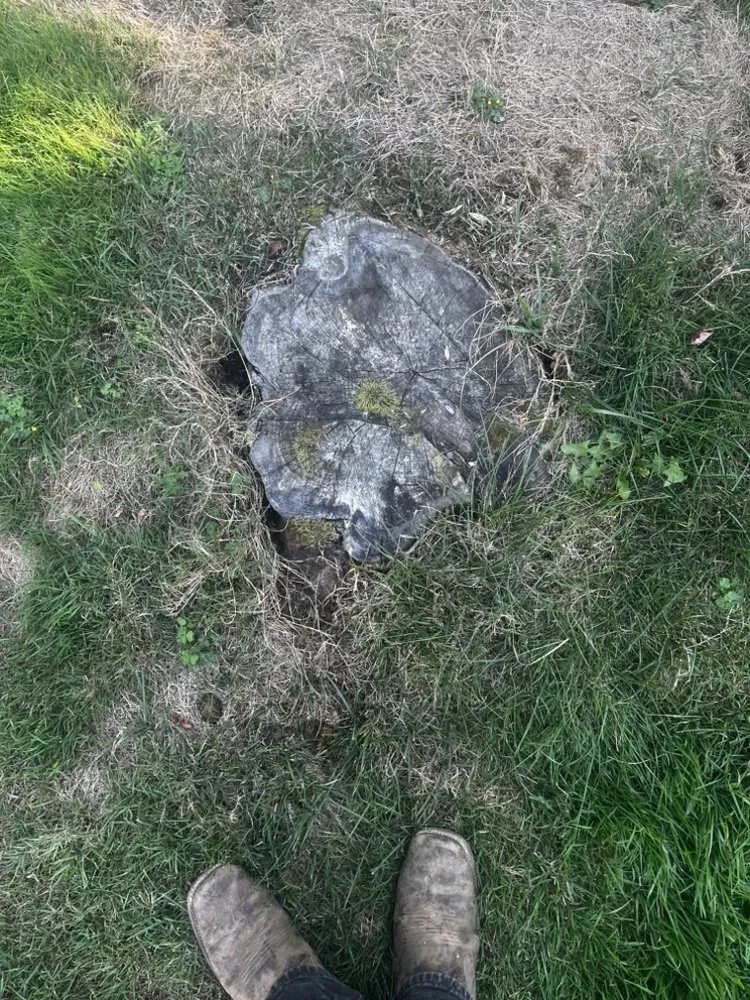 Top-rated landscape installation in Lyndhurst, OH - CNS Outdoor Services