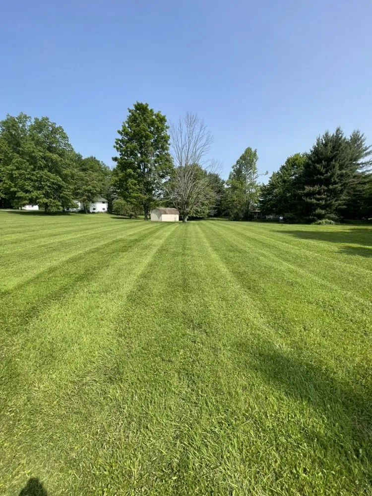 Custom lawn care service in Lyndhurst, OH by CNS Outdoor Services