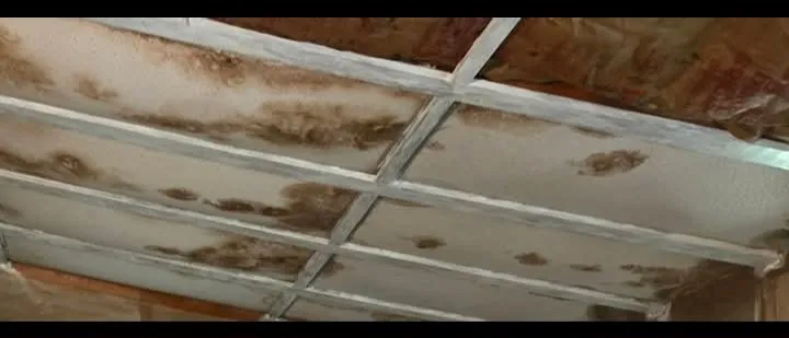 Reliable lawn mowing service for homes across Ranson, WV - CNT Home Services