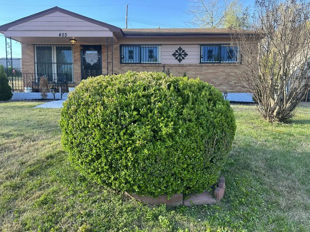 Top-rated landscape design experts serving Olive Branch, MS - CNT Landscape & Design