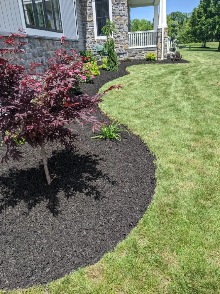 Reliable yard maintenance in Myerstown, PA by CNW Lawn Care