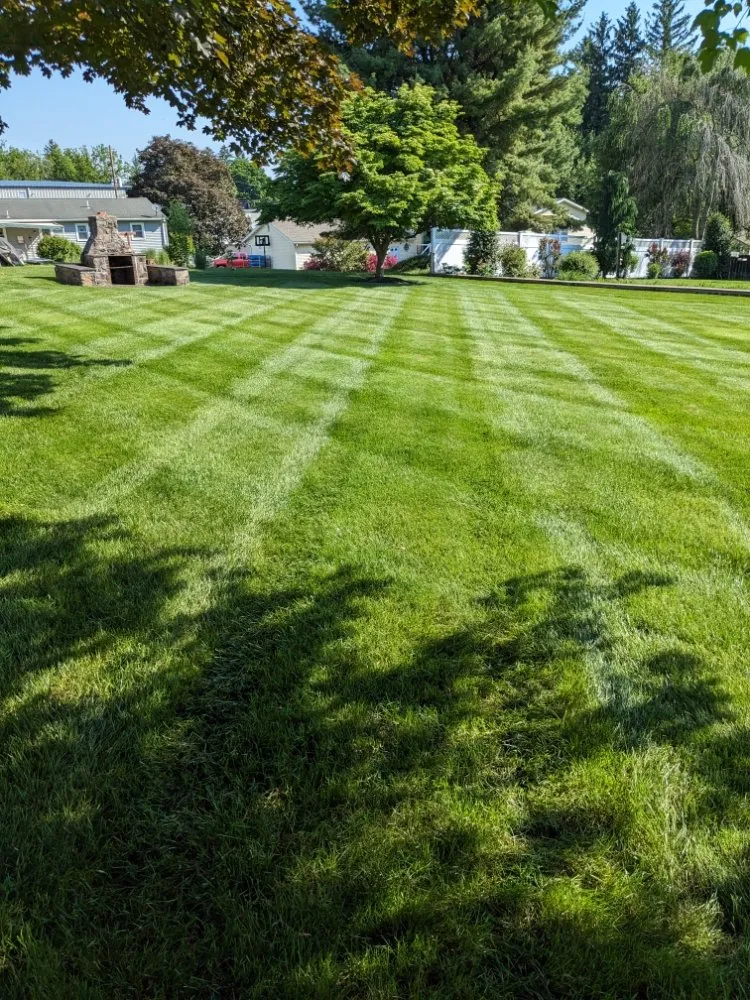 Top-rated lawn care service with custom design in Myerstown, PA by CNW Lawn Care