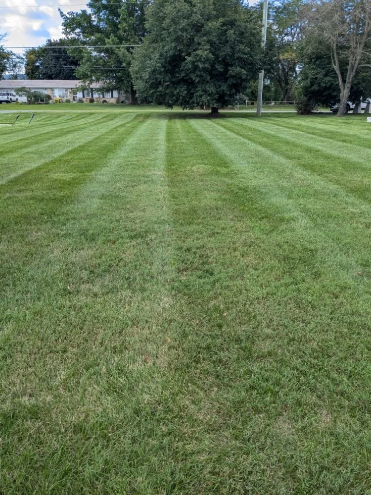 Custom residential landscaping experts serving Myerstown, PA - CNW Lawn Care
