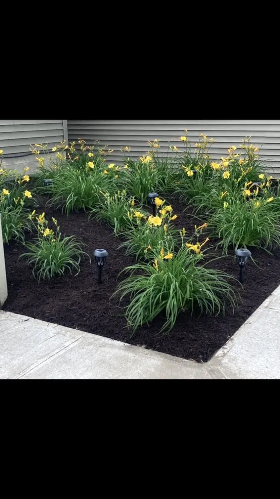 Affordable landscape design in Clay, NY by CNY Home Enhancements