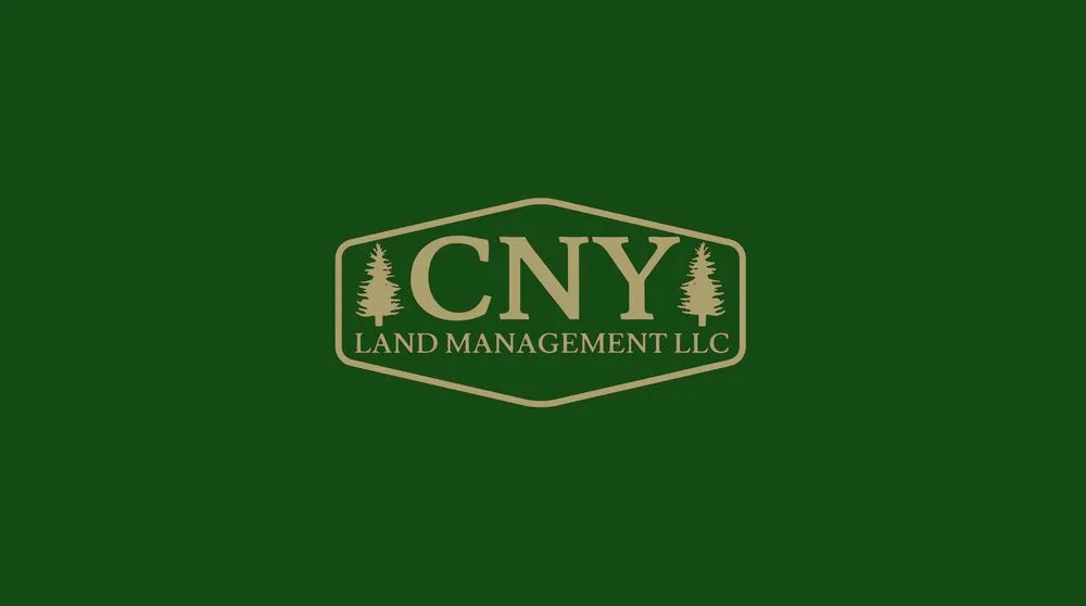 Top-rated yard cleanup service with custom design across LaFayette, NY - CNY Land Management