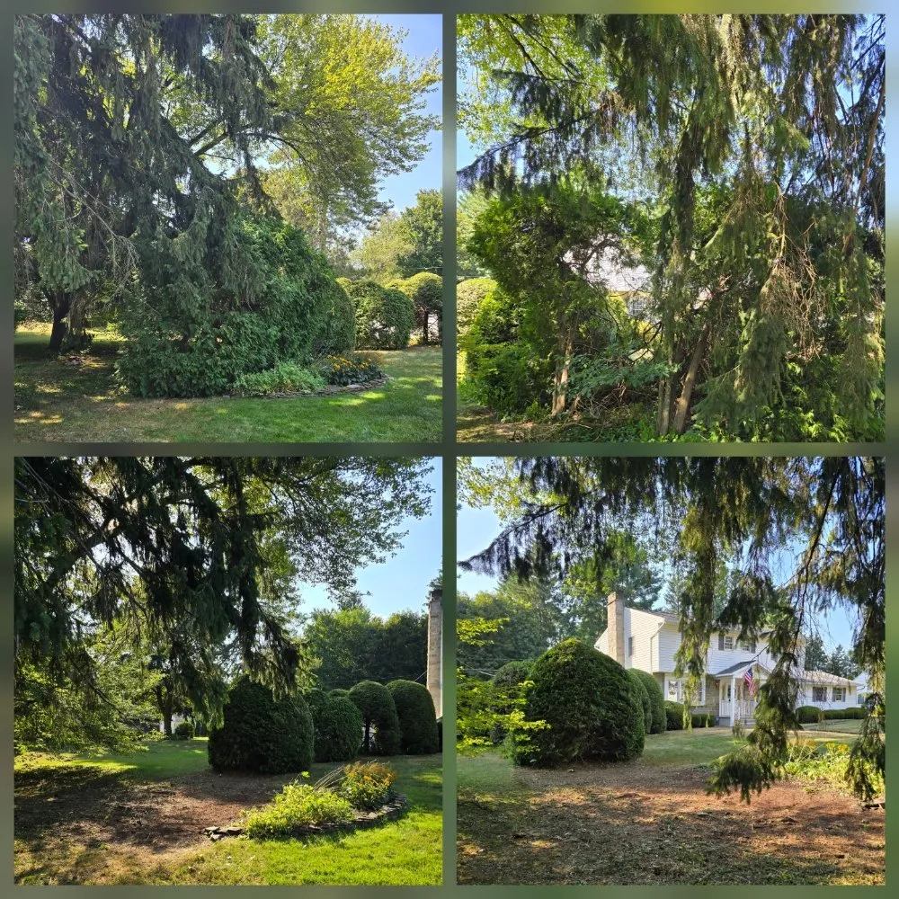 Expert landscaping services for homes across Rome, NY - CNY Lawn Pro Solutions